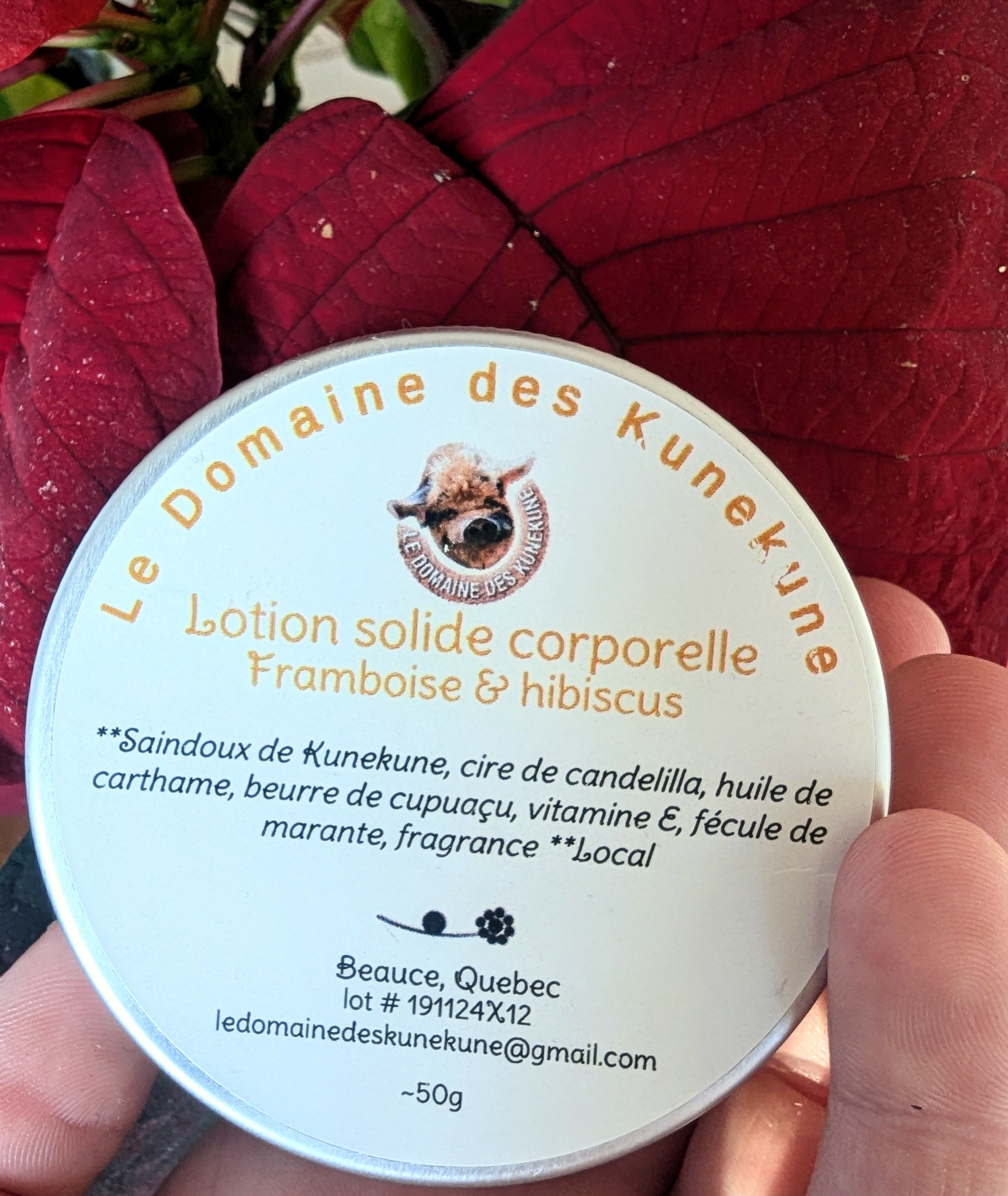 Lotion solide corporelle